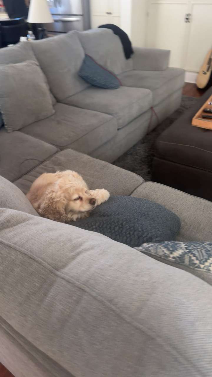 lew12001 snapchat image archive image