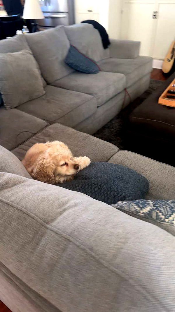 lew12001 image ~ Altpins