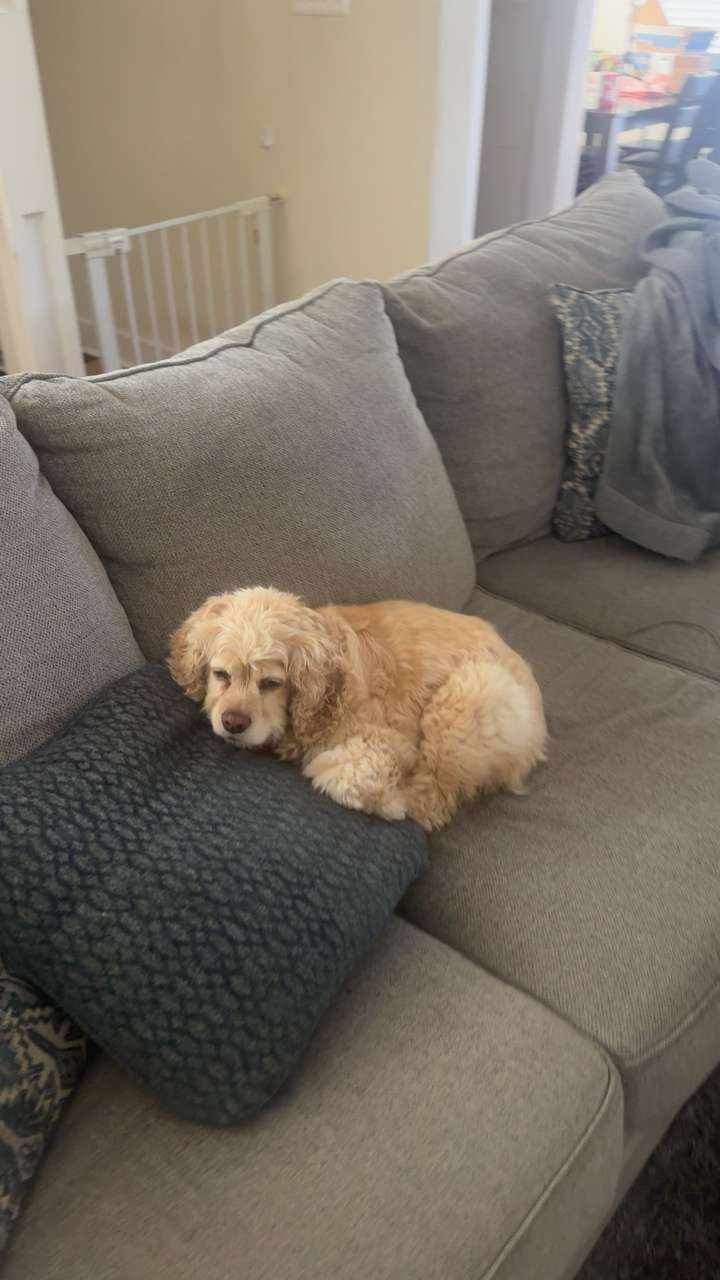 lew12001 snapchat image archive image