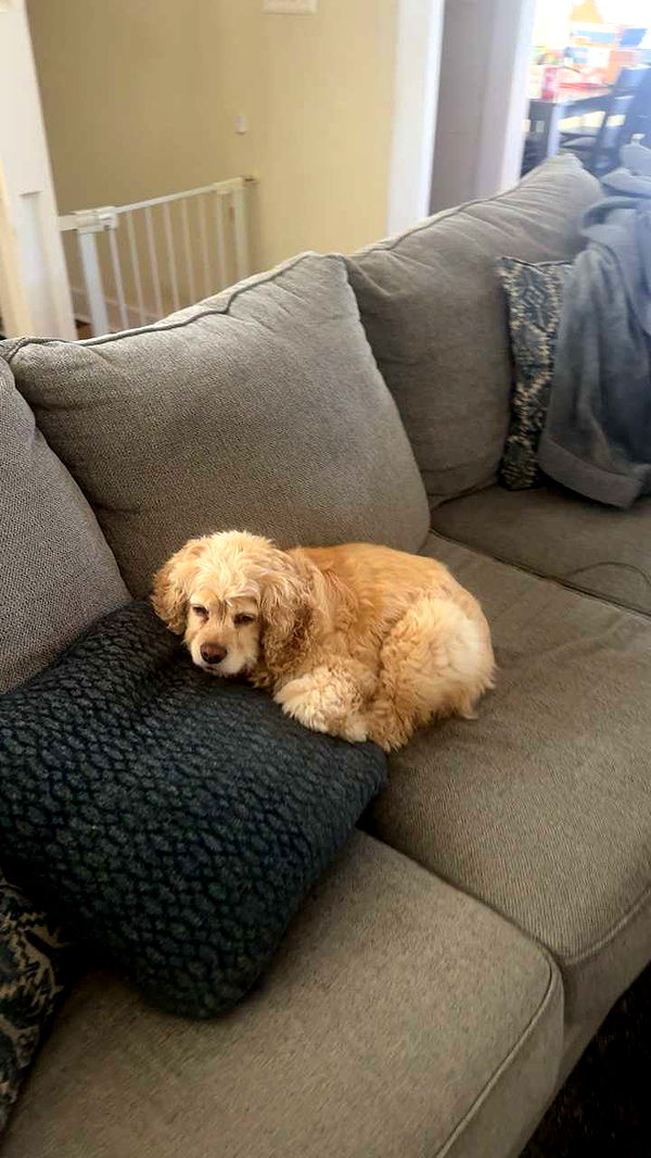 lew12001 image ~ Altpins