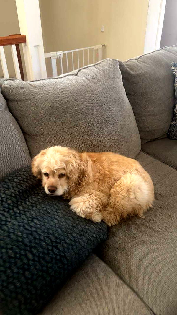 lew12001 image ~ Altpins