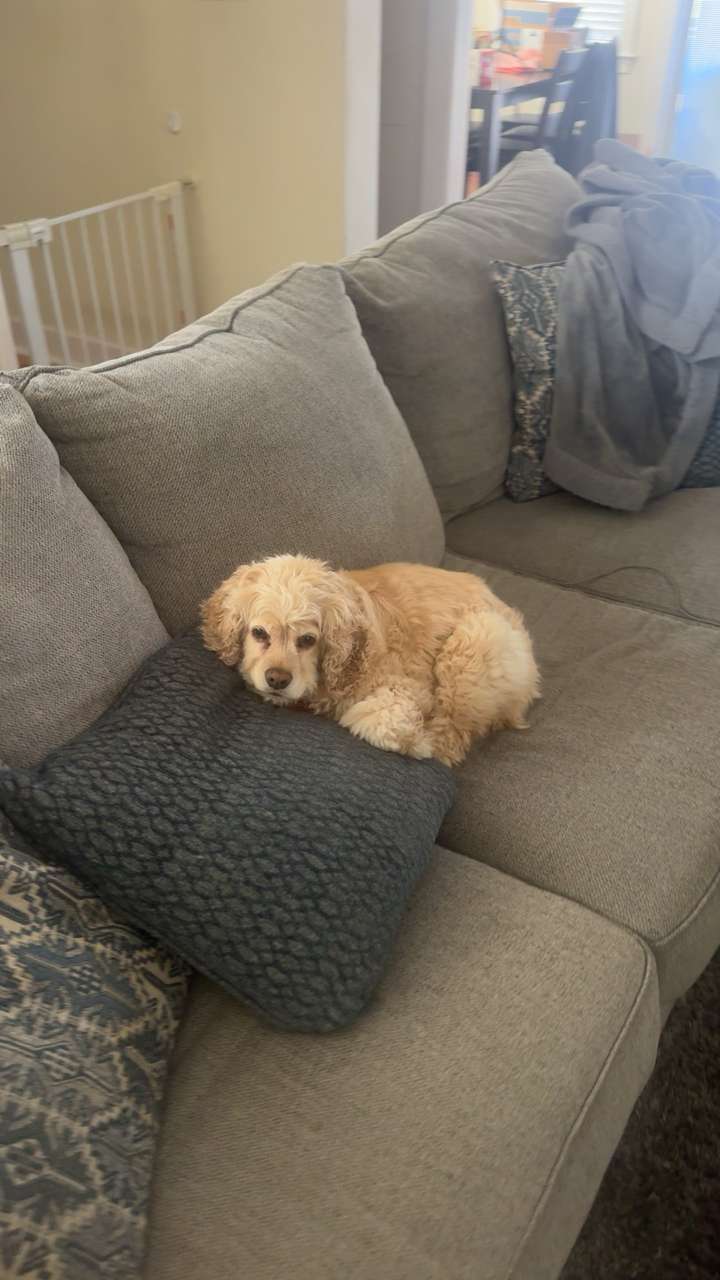 lew12001 snapchat image archive image