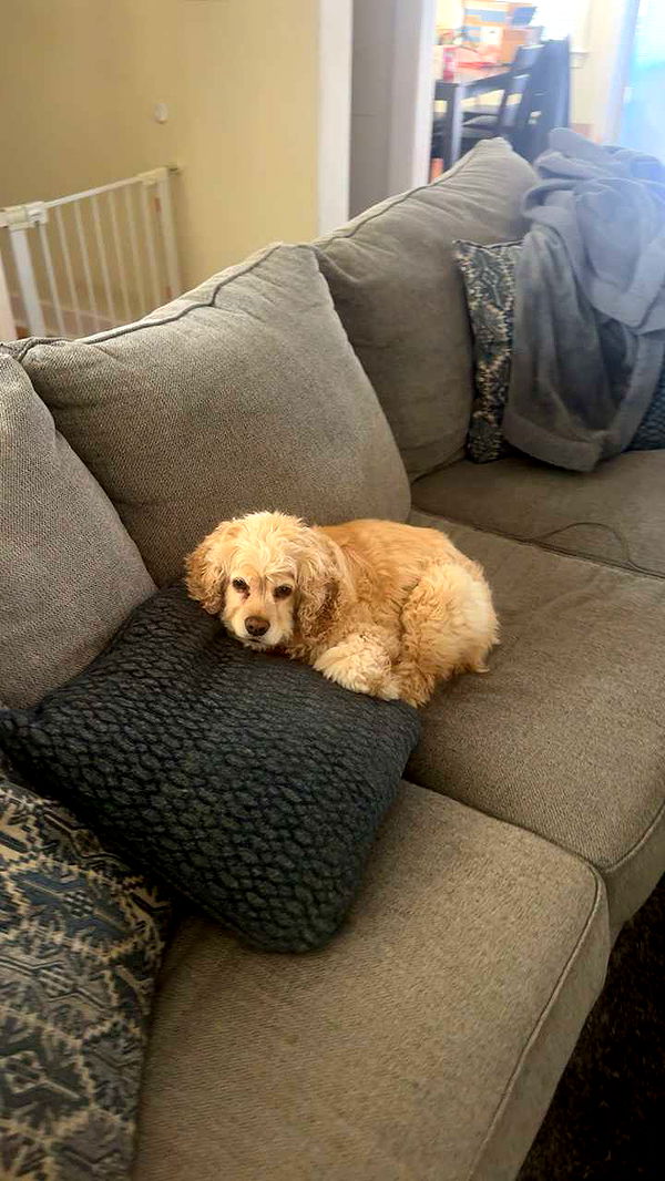 lew12001 image ~ Altpins