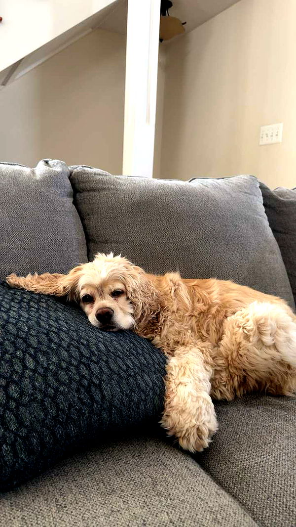 lew12001 image ~ Altpins