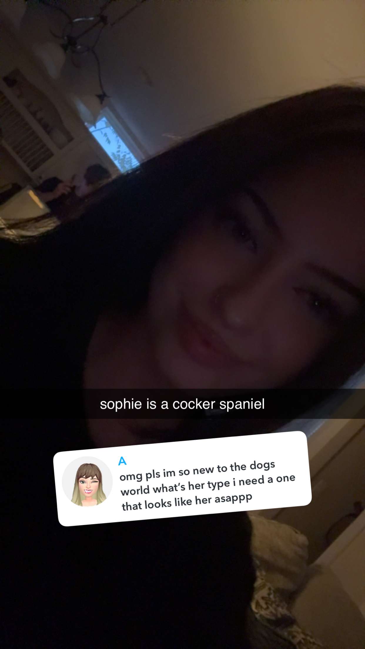 lew12001 snapchat image archive image