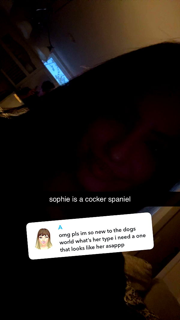 lew12001 image ~ Altpins