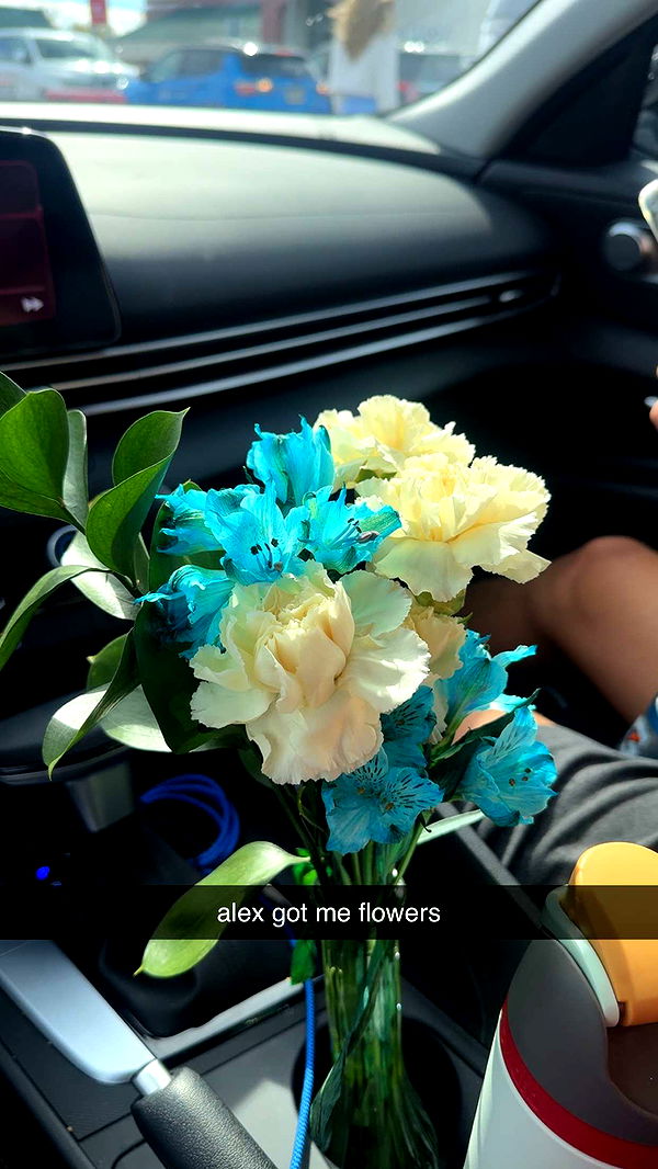 lew12001 image ~ Altpins