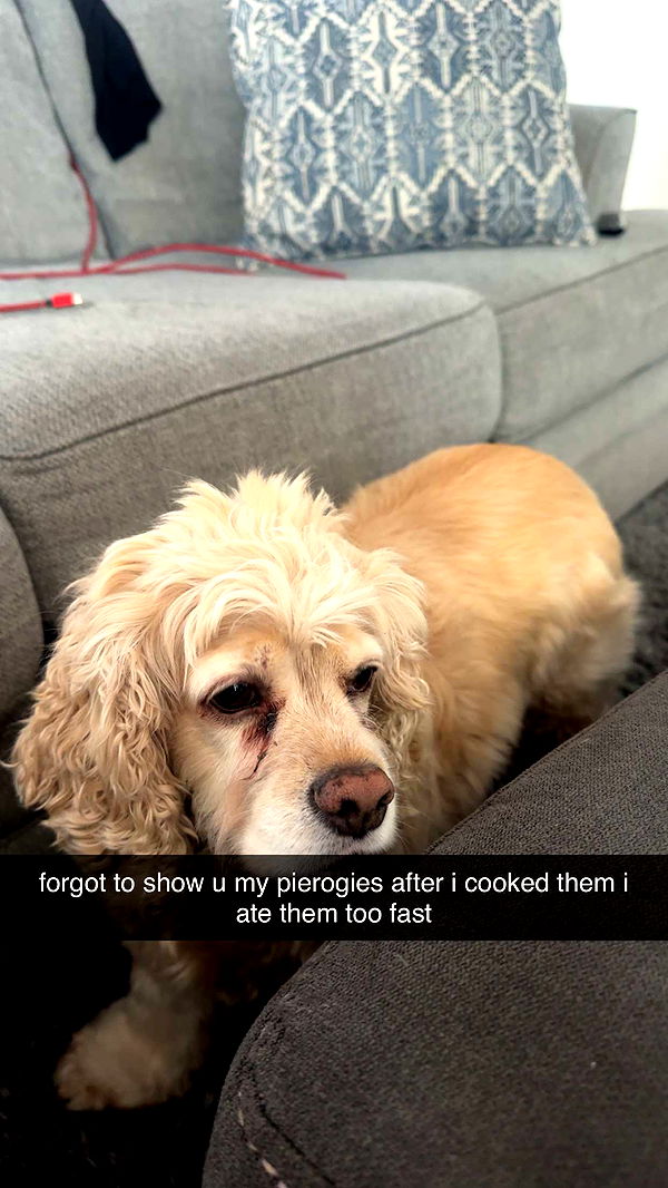 lew12001 image ~ Altpins