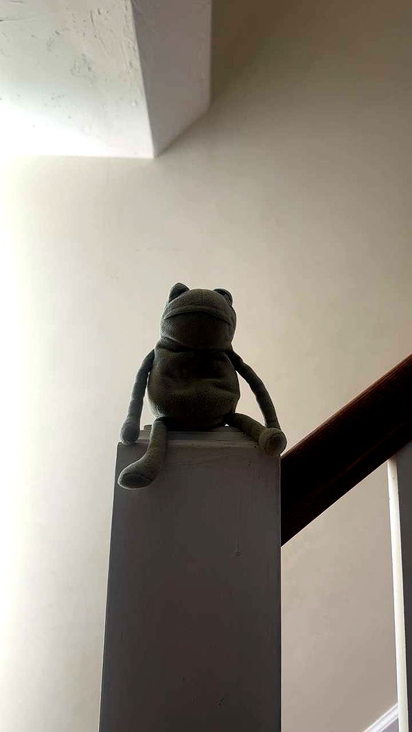 lew12001 image ~ Altpins