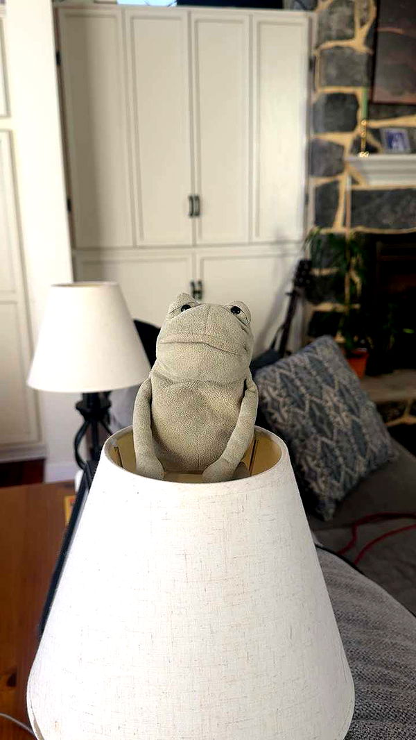 lew12001 image ~ Altpins