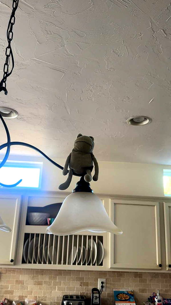 lew12001 image ~ Altpins