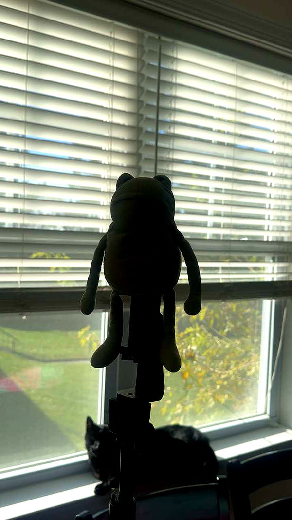 lew12001 image ~ Altpins