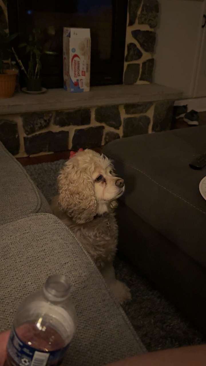 lew12001 snapchat image archive image