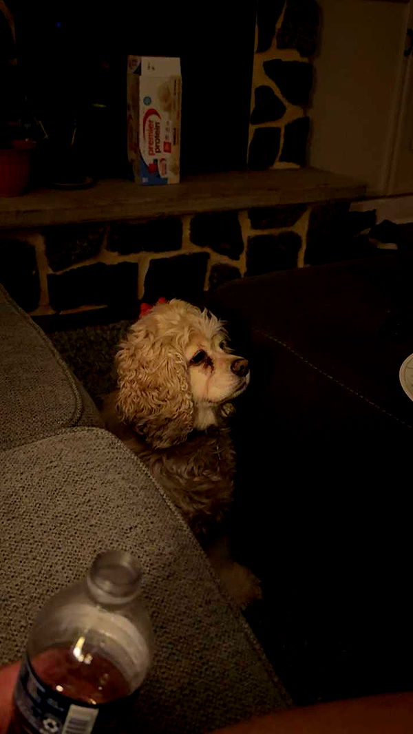 lew12001 image ~ Altpins