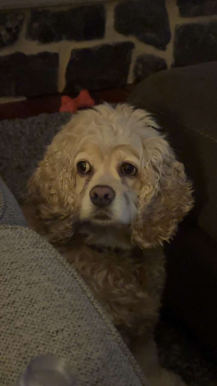 lew12001 snapchat image archive image