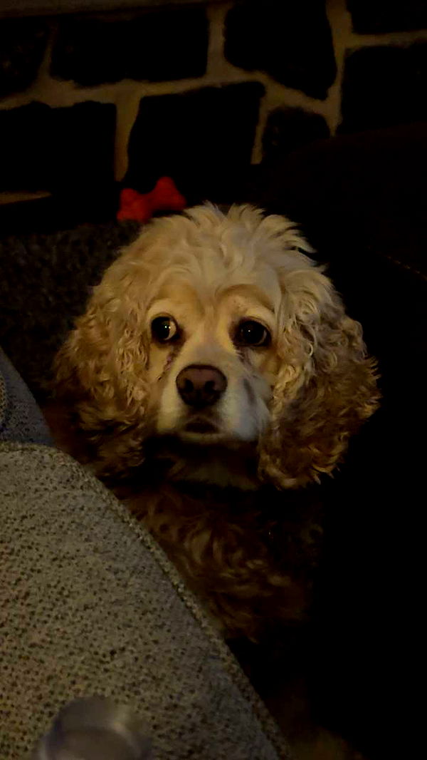 lew12001 image ~ Altpins