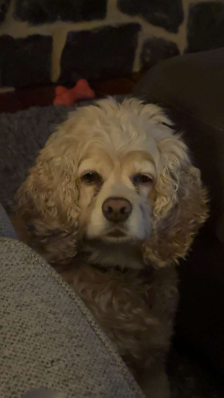 lew12001 snapchat image archive image