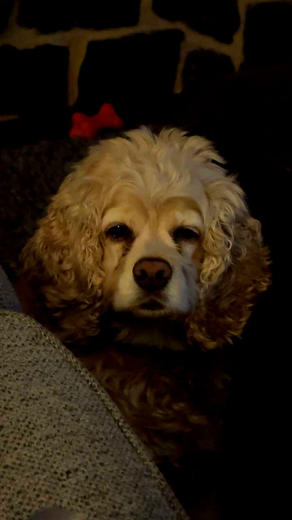 lew12001 image ~ Altpins