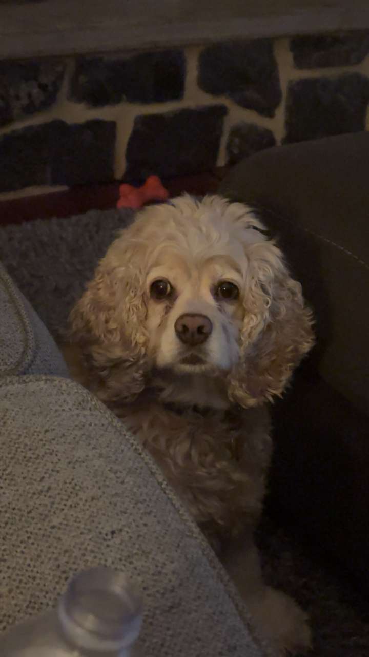 lew12001 snapchat image archive image