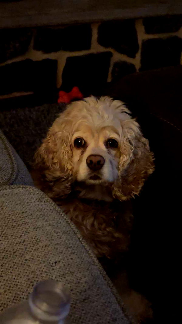 lew12001 image ~ Altpins