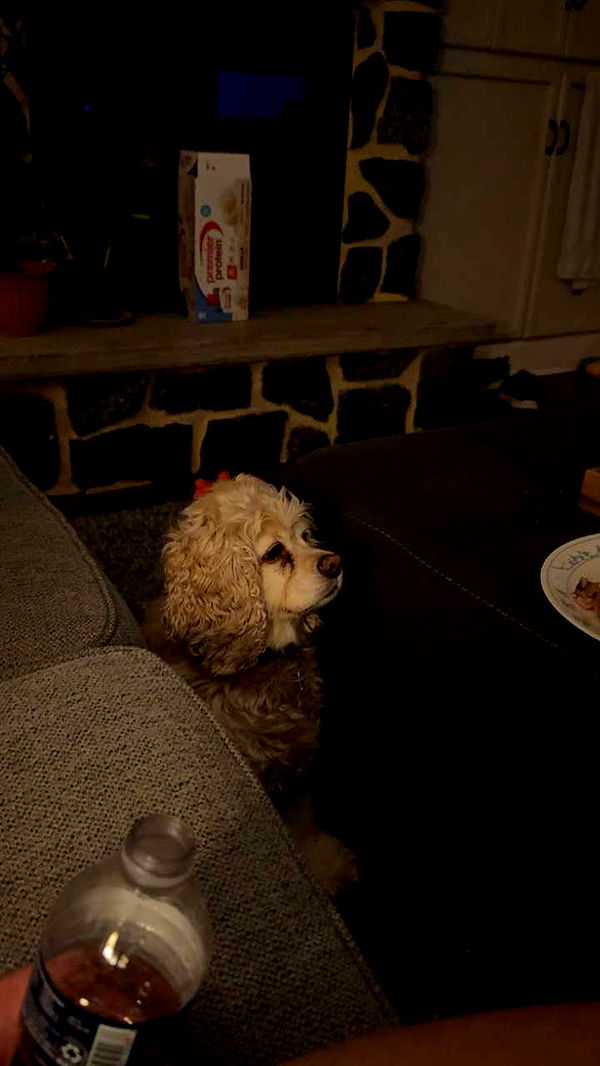 lew12001 image ~ Altpins