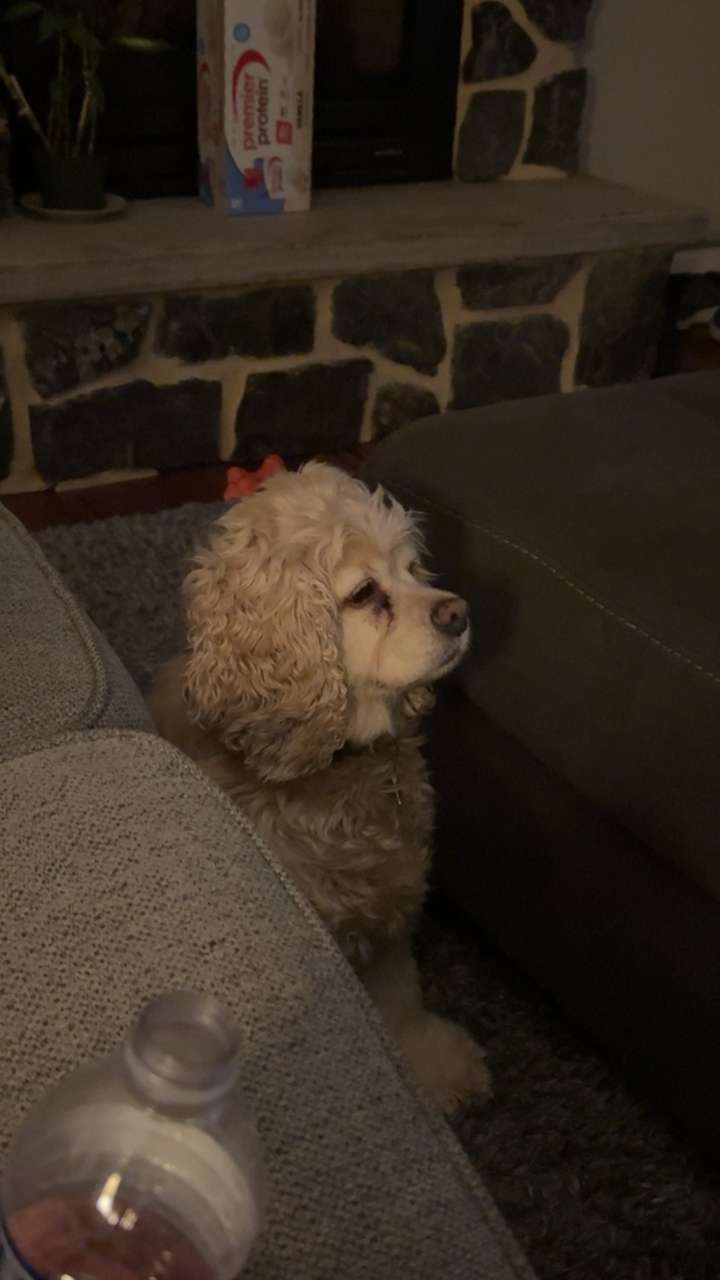 lew12001 snapchat image archive image