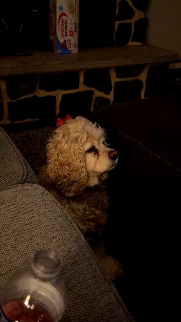 lew12001 image ~ Altpins