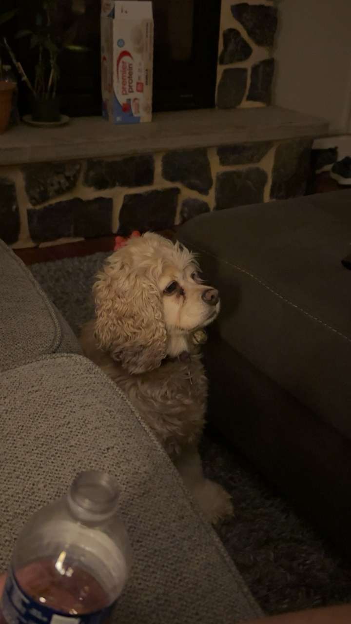 lew12001 snapchat image archive image