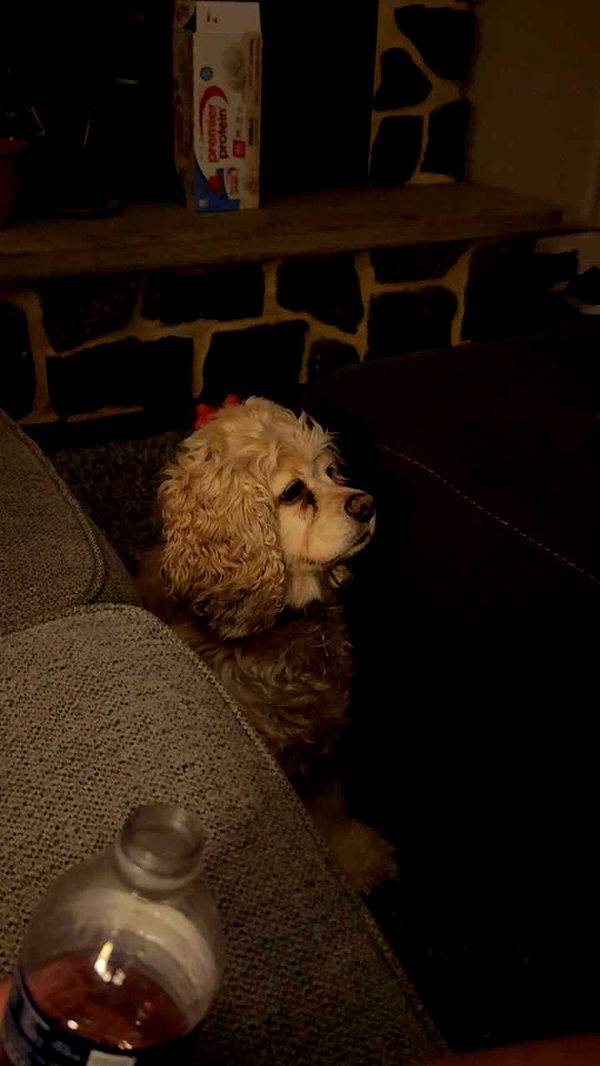 lew12001 image ~ Altpins