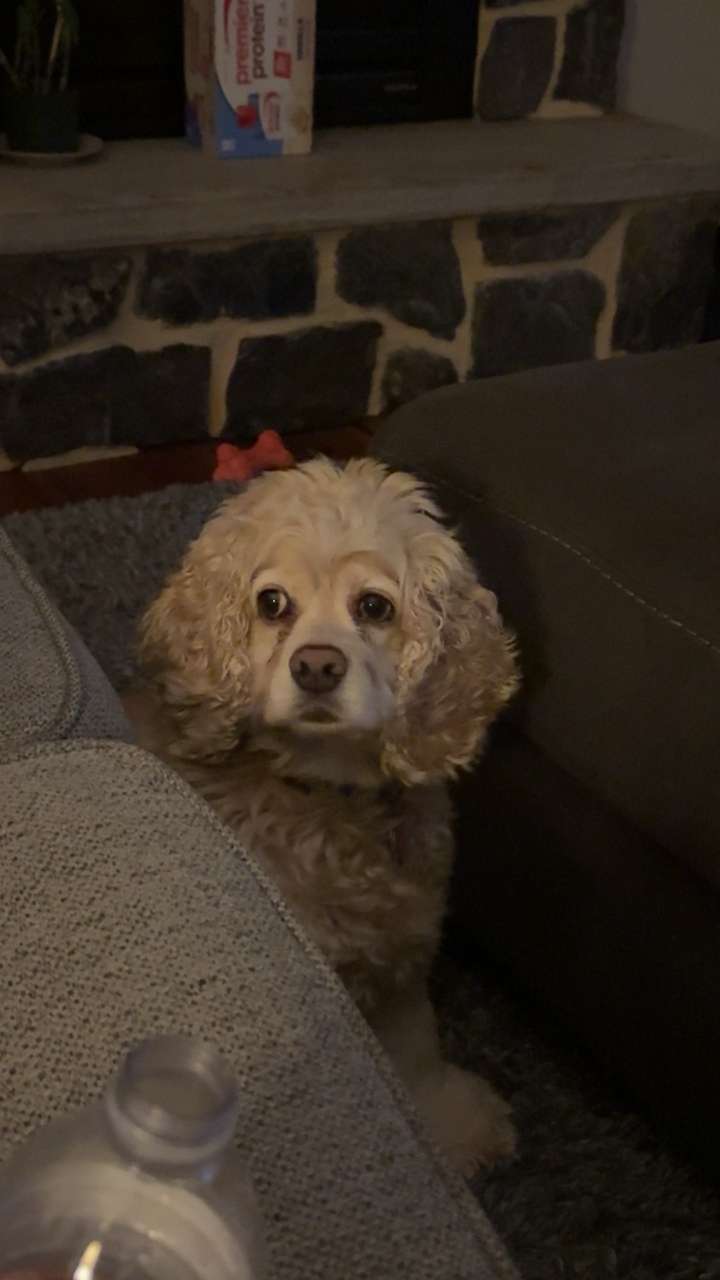 lew12001 snapchat image archive image