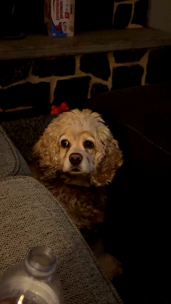 lew12001 image ~ Altpins