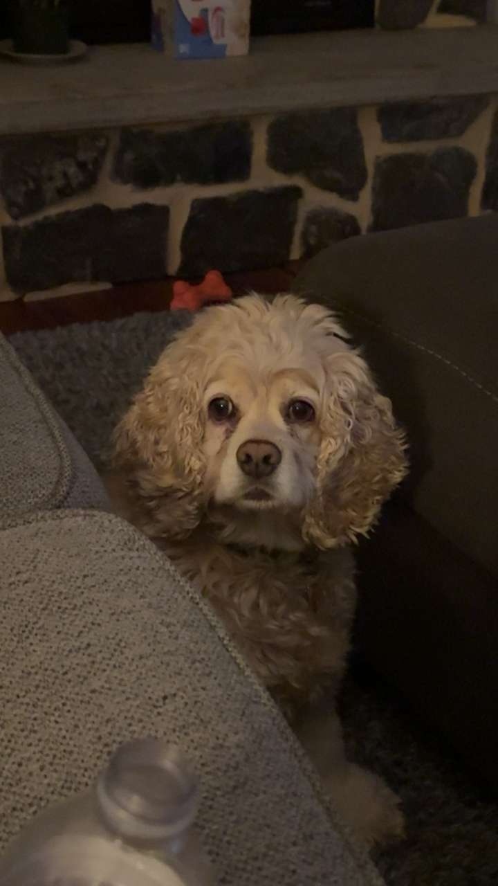 lew12001 snapchat image archive image