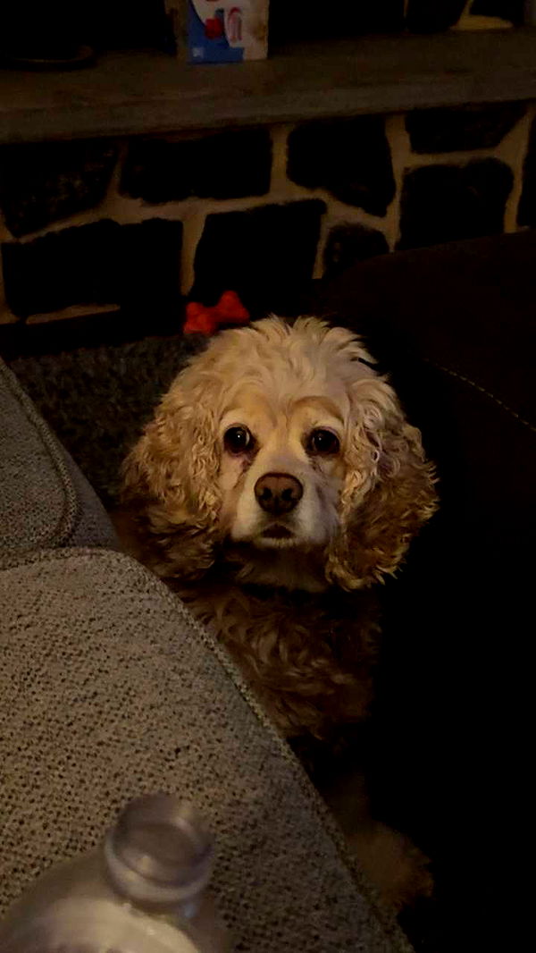 lew12001 image ~ Altpins