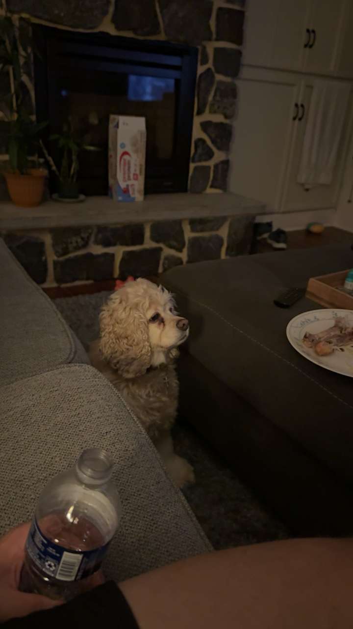 lew12001 snapchat image archive image