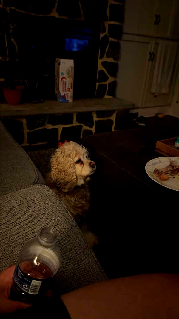 lew12001 image ~ Altpins