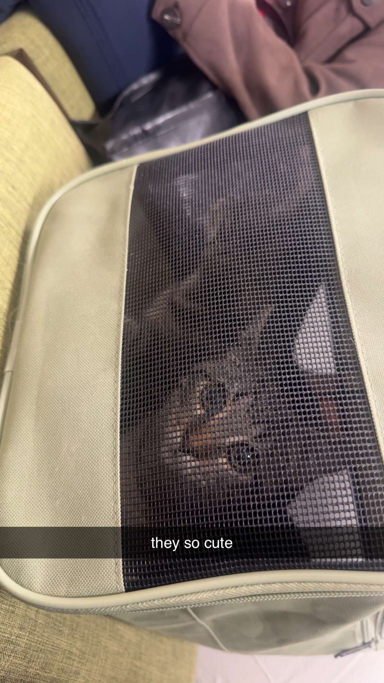 lew12001 snapchat image archive image