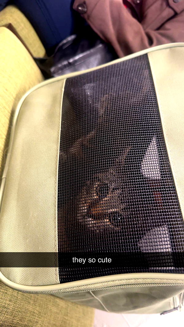 lew12001 image ~ Altpins