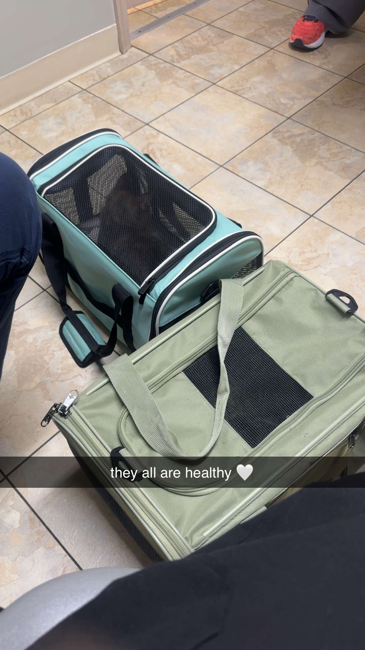 lew12001 snapchat image archive image