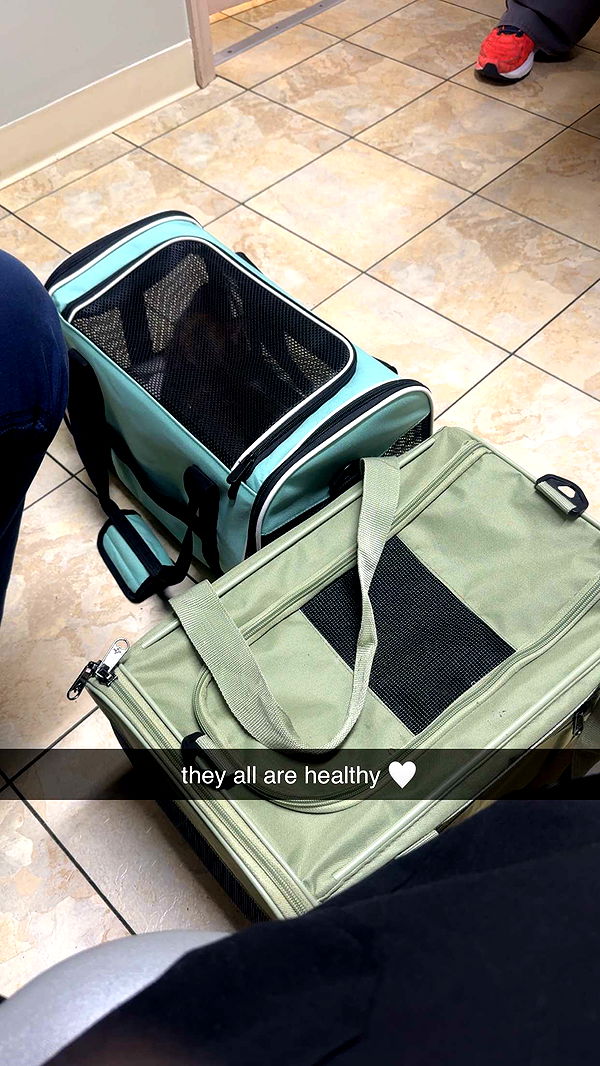 lew12001 image ~ Altpins