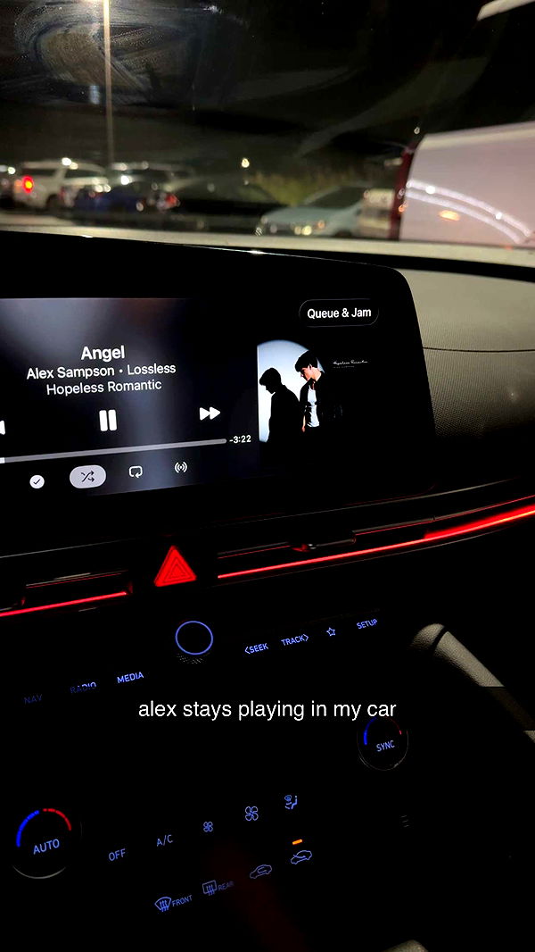 lew12001 image ~ Altpins