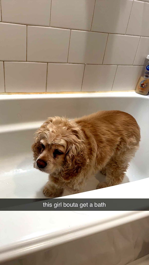 lew12001 image ~ Altpins