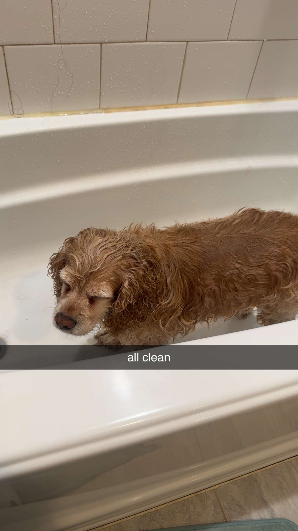 lew12001 snapchat image archive image