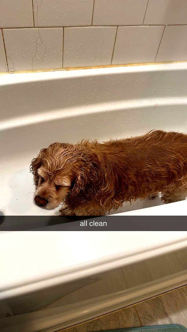 lew12001 image ~ Altpins