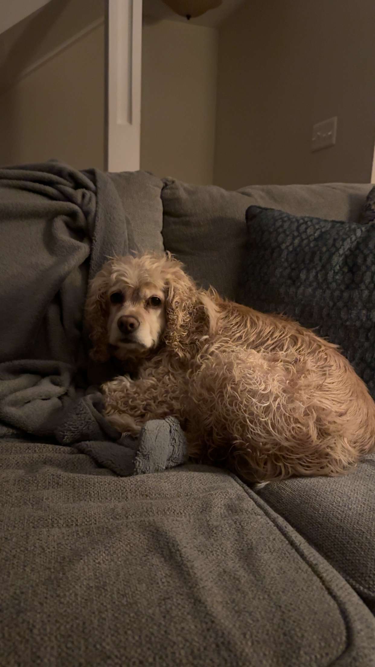 lew12001 snapchat image archive image