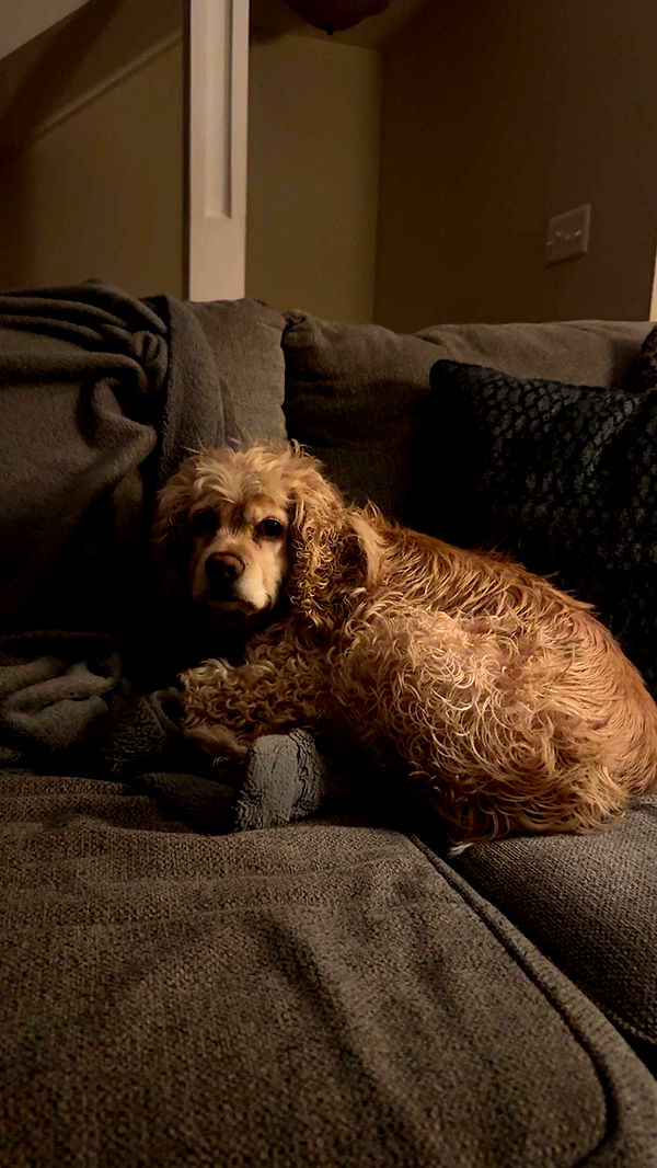 lew12001 image ~ Altpins