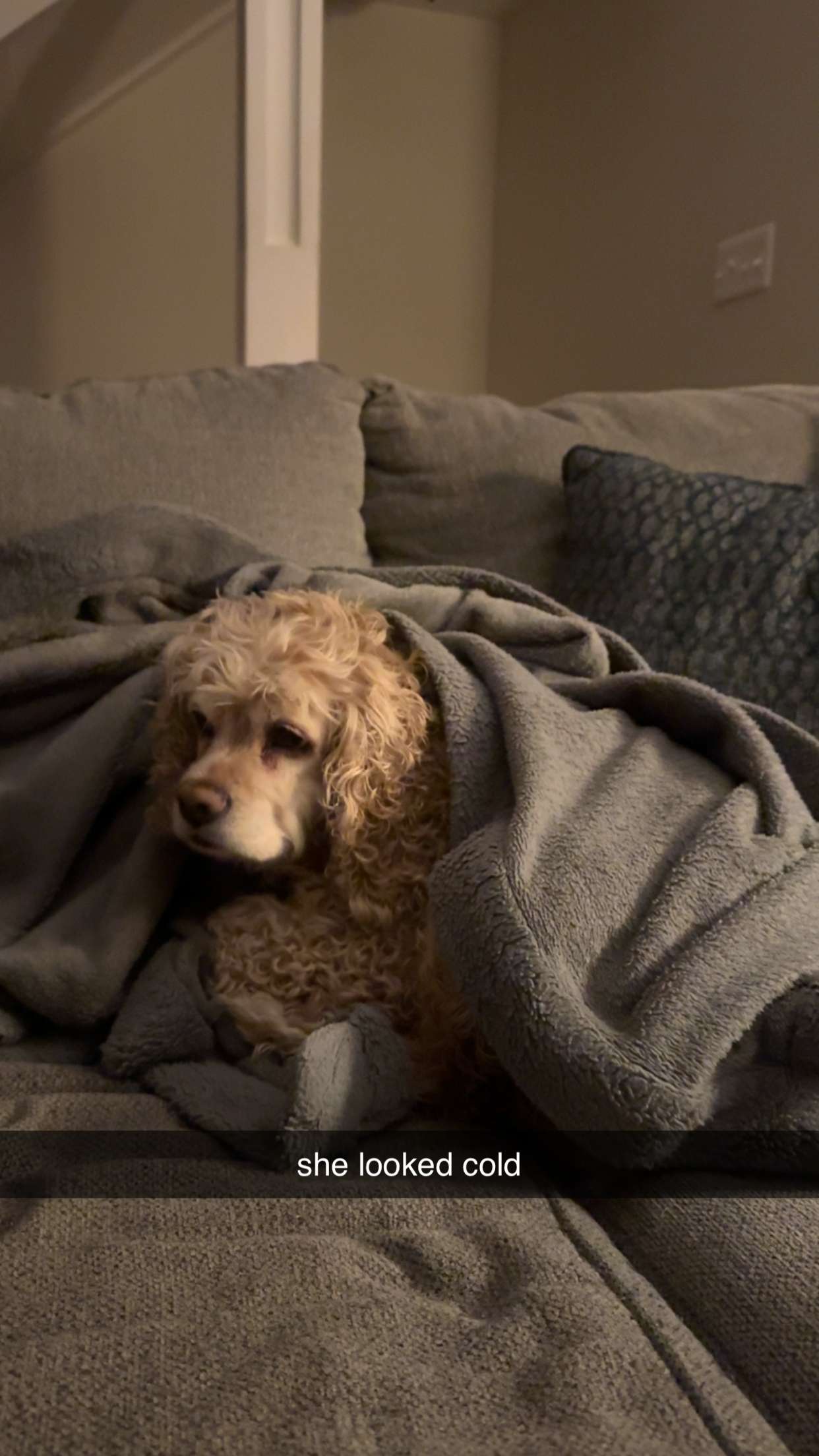 lew12001 snapchat image archive image