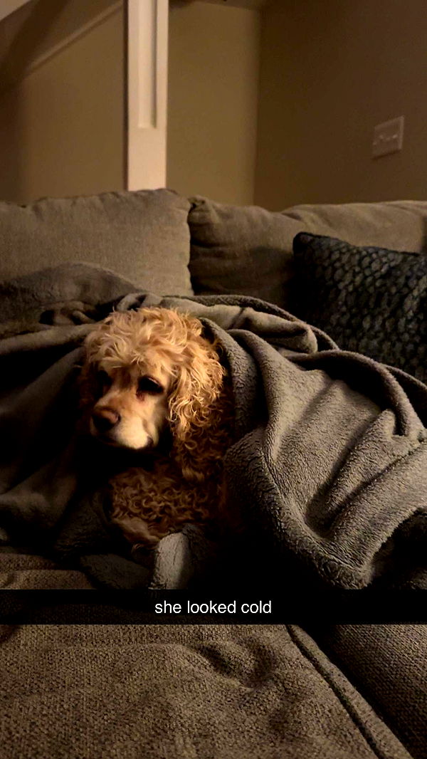 lew12001 image ~ Altpins