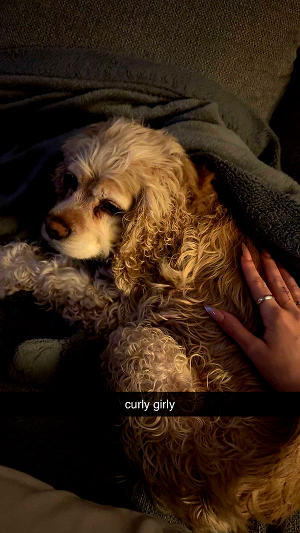 lew12001 image ~ Altpins