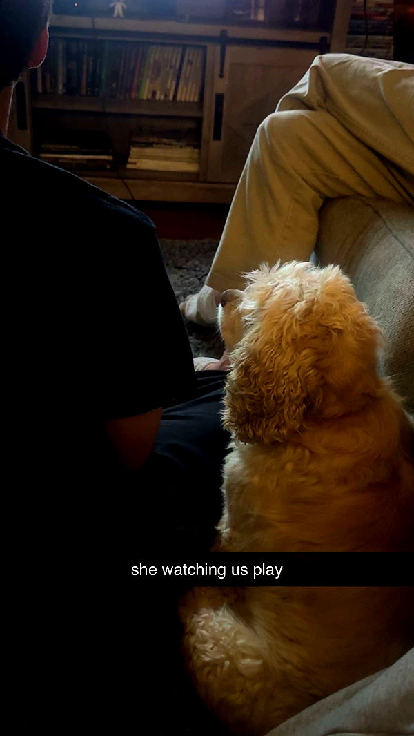 lew12001 image ~ Altpins