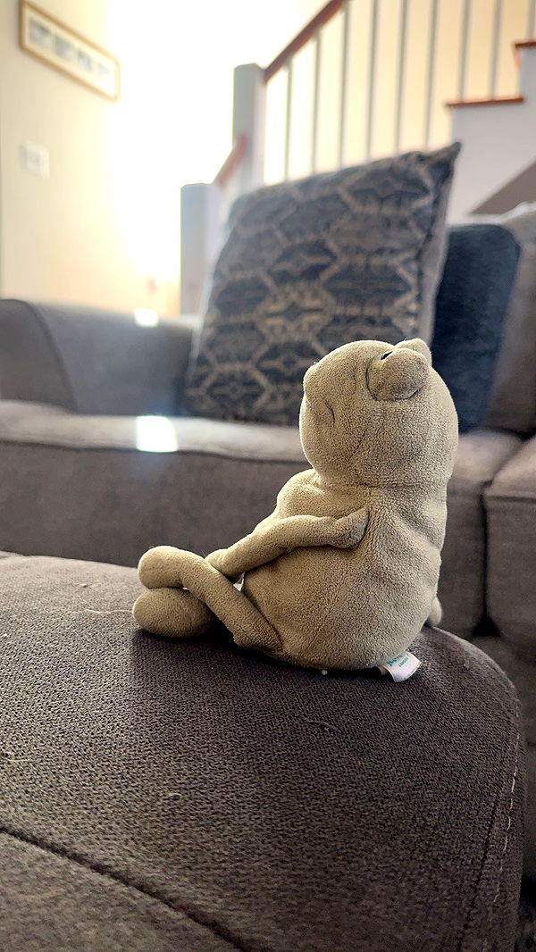 lew12001 image ~ Altpins